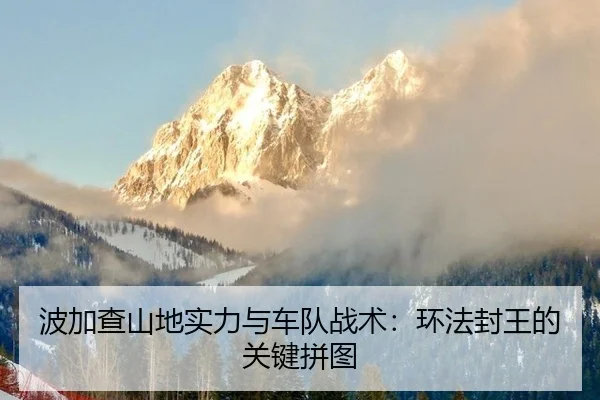 bo-jia-cha-shan-di-shi-li-yu-che-dui-zhan-shu-huan-fa-feng-wang-de-guan-jian-pin-tu-3-519.jpg