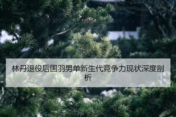 lin-dan-tui-yi-hou-guo-yu-nan-dan-xin-sheng-dai-jing-zheng-li-xian-zhuang-shen-du-pou-xi-2-832.jpg