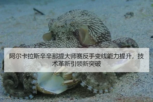 a-er-ka-la-si-xin-xin-na-ti-da-shi-sai-fan-shou-bian-xian-neng-li-ti-sheng-ji-shu-ge-xin-yin-ling-xin-tu-po-3-436.jpg