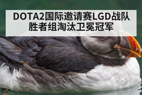 DOTA2国际邀请赛LGD战队胜者组淘汰卫冕冠军