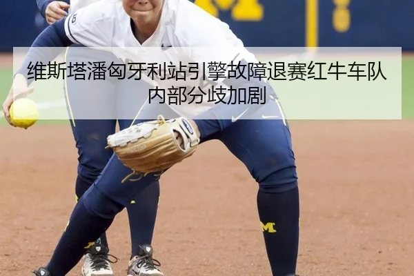 维斯塔潘匈牙利站引擎故障退赛红牛车队内部分歧加剧